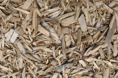 biomass boilers Flaxpool